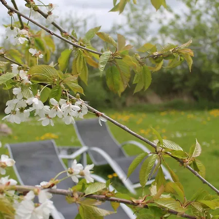 In Wiek Nahe Juliusruh 公寓 Wiek auf Rügen