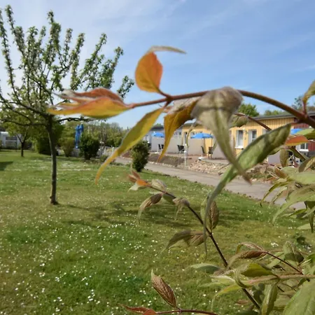 In Wiek Nahe Juliusruh 公寓