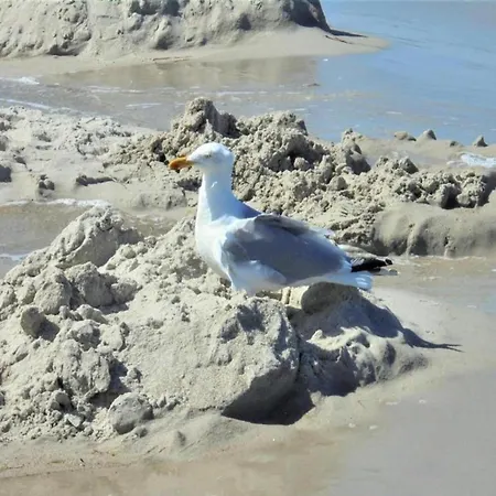 In Wiek Nahe Juliusruh * Wiek auf Rügen